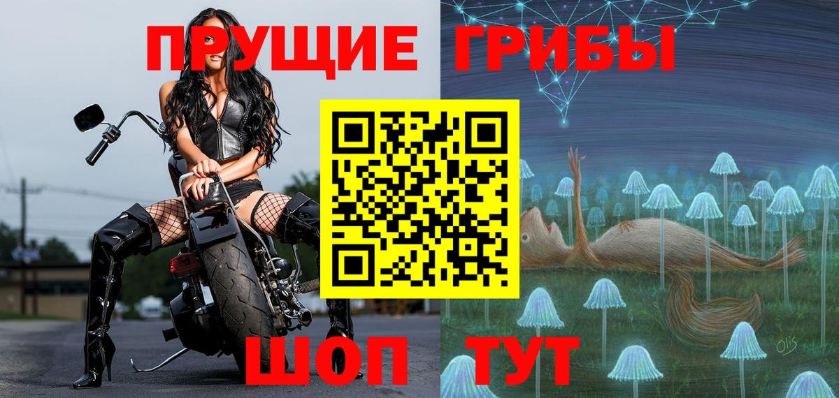 Алексин  где купить наркоту  Вход с VPN  Галлюциногенные грибы Cubensis 